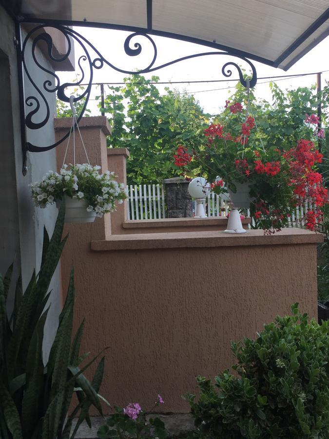 Private House Daire Berehove  Dış mekan fotoğraf
