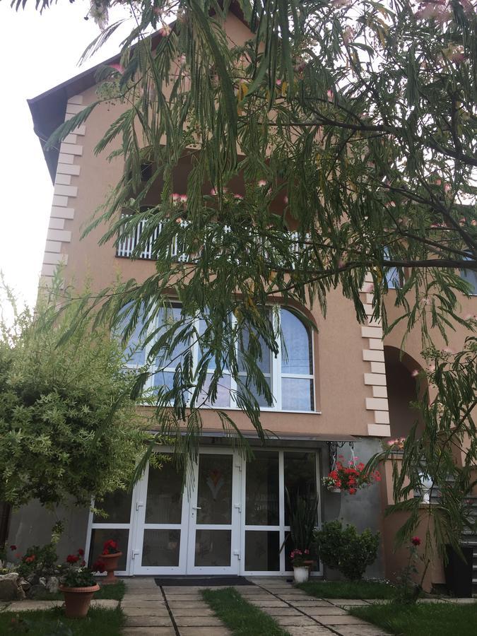 Private House Daire Berehove  Dış mekan fotoğraf
